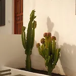 Casa Cactus - Heated Pool And Only 5 Boutique